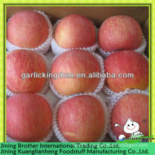 red star apple fruit from origin